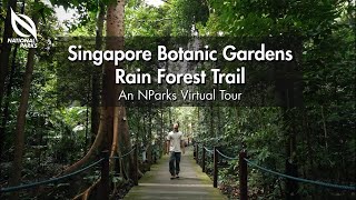 Singapore Botanic Gardens Rain Forest Trail | An NParks Virtual Tour