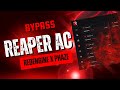 Bypassing Reaper Anti-Cheat – redENGINE x Phaze (FiveM)