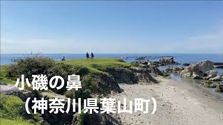 【葉山/Hayama】小磯の鼻/Koisonohana（景勝地/Aesthetic Landscape）