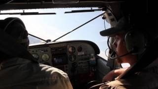Pronghorn Aerial Telemetry
