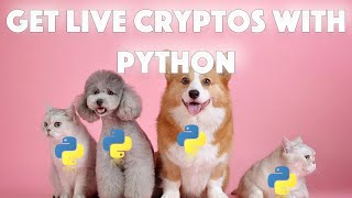 How to get LIVE cryptocurrency data with Python using the Binance API / ERROR FIXING