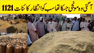 Kainat 1121 Paddy Today Market Rates I 1121 Paddy Rates I Rice Library Pakistan