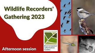 SWSEIC Wildlife Recorders' Gathering 2023 - afternoon session