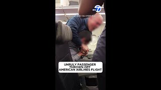 Unruly passenger thrown off American Airlines flight