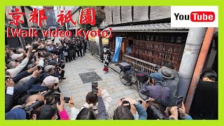 【速報版/京都Walk】カメラマン集結📷に外国人観光客もビックリ😲❗晩秋の吉日に…祇園甲部🍁美しい芸妓さんのお披露目とご挨拶まわり😊😺 (美羽子さん襟替え) 12 pm 2023 KYOTO No54