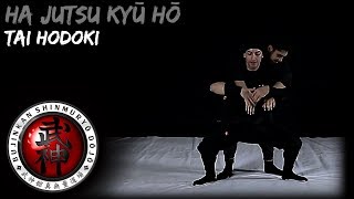 破術九法 Ha Jutsu Kyū Hō - 体解 Tai Hodoki | 伝承シリーズ Denshō Series | 忍術 Ninjutsu