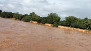 Tirupati Floods: Chiguruvada bridges collapsed due to heavy Rainfall 2021 Nov ,swarnamuki Nadi.