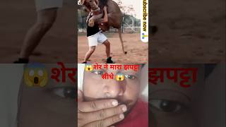 😱 शेर ने मारा छलांग सीधे ऊपर 😱 बच गए ऐसी गलती न करे😱#virelreels #youtubeshort #instagram #ट्रेडिंग 😱