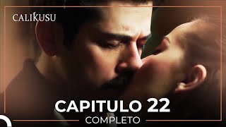 Calikusu 22 Capítulo