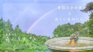 【森🐿暮らしのVlog】季節の手仕事🌿実山椒／ヘビに襲われたメジロ親子／新しい生命たち／穏やかな暮らし／slow living ／＃１０　#risumorino #野鳥 #50代主婦