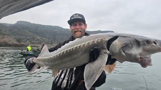 Two Keeper Sturgeons Caught Opening Day Jan 1st 2025, The Dalles Columbia River.