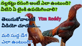 Colour identification nalla kattu rasangi and Sudha Dega//Ytm Reddy//