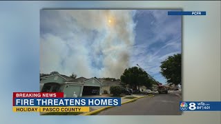 Pasco County fire crews battling large brush fire in Holiday