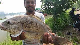 കൊച്ചിയിൽ വലിയ മീനുകൾ ഉള്ള സ്ഥലം / BIG EARI FISH / BIG SIZE FISH SPOT/