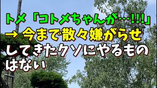 【スカッとひろゆき】トメ「コトメちゃんが…！！！」 → 今まで散々嫌がらせしてきたクソにやるものはない