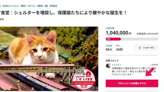 Diorama Restaurant - More shelters for healthy cat life! / 保護猫たちに健やかな猫生を！クラウドファンディング実施中 - ジオラマ食堂