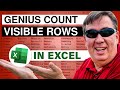 Count Visible Rows - 1034 - Learn Excel from MrExcel Count Visible Rows - 1034 - Learn Excel from MrExcel