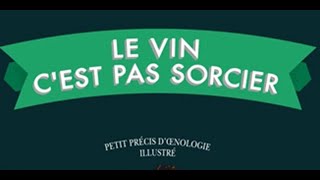 Le livre du jour - Le vin, c’est pas sorcier d'Ophélie Neiman