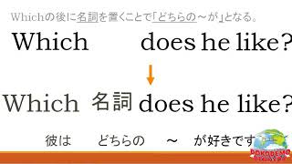 中学一年レッスン19 Which (名詞)  do you like～? どれ/どちらの 疑問文