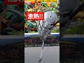 恐竜ミニフィギュア🦕🦖10円クレーン４回目🕹️🐆