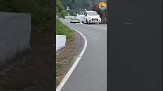 Elephant attack on a car :today Kotagiri to mettupalayam road#shots #elephant #ooty #wildlife #viral