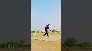 cricket lovers short video status ❣️#shorts