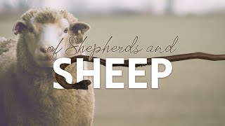 Of Shepherds \u0026 Sheep -  10.27.2024