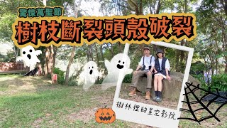 Camping vlog｜第四十八露｜海拔900公尺｜星光山岳露營區｜森林裡的萬聖節｜野地酒食ep14 牧羊人派｜#camping #苗栗#泰安 #料理 #森林 #萬聖節