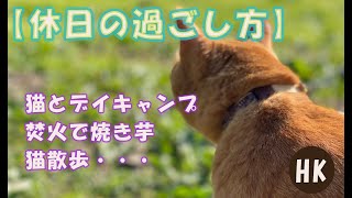 【休日の過ごし方】猫とデイキャンプ｜焚火と焼き芋