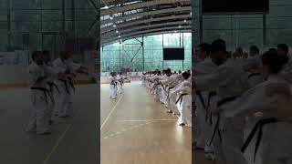 XVII KWU International Summer Camp 2023  #kwucamp 2023 #kwusenshi #kyokushin #martialarts