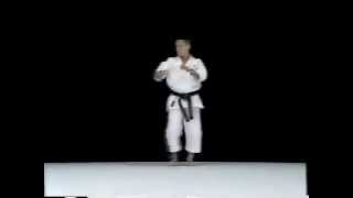 Jion Shito Ryu