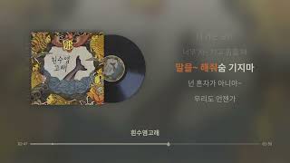 흰수염고래 - YB (윤도현 밴드)