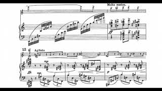 Hans Gál - Violin Sonata in Bb Minor, Op. 17, Movement 1