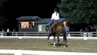 Jennifer Collman western dressage demonstration CSDEA Festival Under the Stars