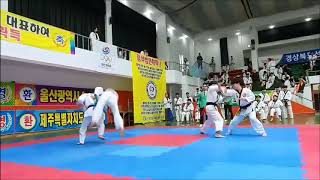 [HAPKIDO] 2019 전국생활체육대축전(합기도: 정식종목) [KOREA HAPKIDO GENERAL ASSOCIATION(KHGA)]