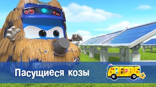 🚌Школьный автобус Гордон. Сезон 7 - Серия 6.Пасущиеся козы - Мультфильм