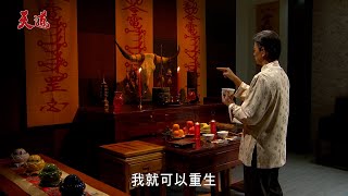 天道│EP190預告 超強見證「母龍穴」？重仁設計文堯、超越全為轉生續命！ Fight For Justice│Vidol