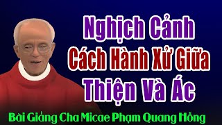 Sự Trái Ngược Về Cách Hành Xử Của Người Thiện Và Kẻ Thủ Ác - Bài giảng của Cha Phạm Quang Hồng