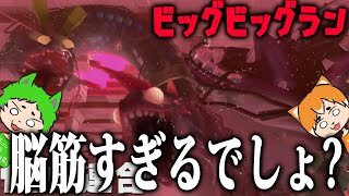 ビッグビッグランがあまりにも脳筋すぎた【スプラトゥーン3】