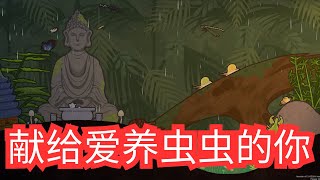 [全字幕] 繁殖和培育出稀有种吧！ 打造属于你自己的生态箱！和虫虫们度过一个美好的夏日吧！