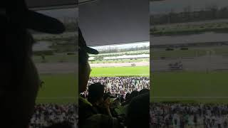 牝馬三冠達成！秋華賞アーモンドアイ本馬場入場