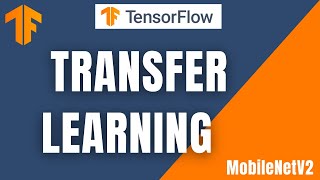 TensorFlow: Classification With TensorFlow Transfer Learning MobileNetV2 | Python | TensorFlow
