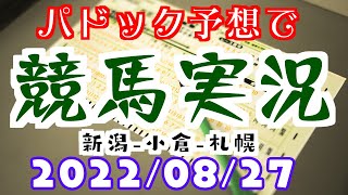 パドック予想で競馬実況🥕22年8月27日