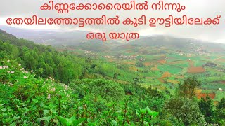 Kinnakorai to Ooty /Malayalam