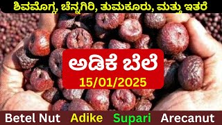 Arecanut Price Today | ಇಂದಿನ ಅಡಿಕೆ ಮಾರುಕಟ್ಟೆ ದರ | Shivamogga, Channagiri \u0026 Major Markets Update