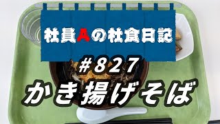 【社食日記】かき揚げそば【サラメシNo.0827】