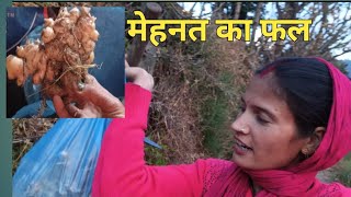 मायके जानें कि तैयारी भी हो गईं,Pahadi lifestyle vlog,@DeepaAmitpanwarvlog