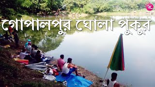 গোপালপুর ঘোলা পুকুরে মাছ ধরা – Fishing at Gopalpur Ghola Pond | Rozina’s Club