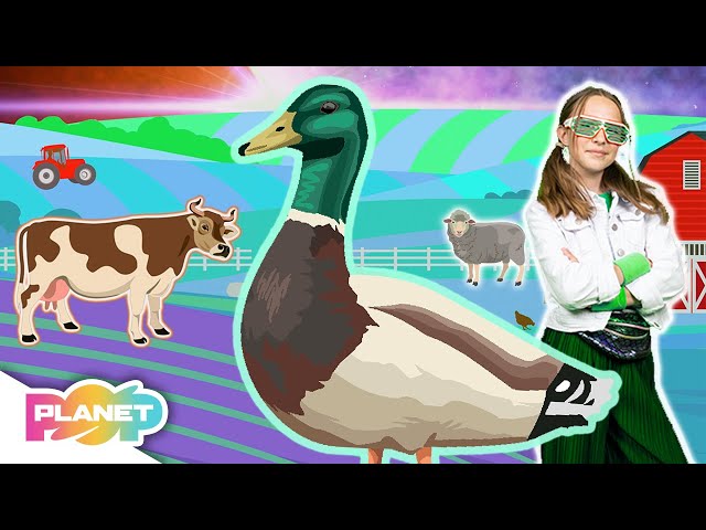 Farm Animals Song Animal Vocabular English Esl Video Lessons