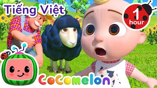 Baa Baa Cừu Đen | CoComelon Tiếng Việt | Nhạc cho Trẻ em | Bài hát Ru ngủ